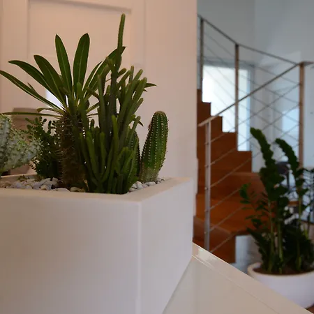 Panzió White Con Parcheggio Privato